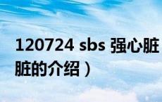 120724 sbs 强心脏（关于120724 sbs 强心脏的介绍）