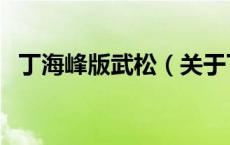 丁海峰版武松（关于丁海峰版武松的介绍）
