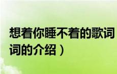 想着你睡不着的歌词（关于想着你睡不着的歌词的介绍）