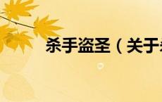 杀手盗圣（关于杀手盗圣的介绍）