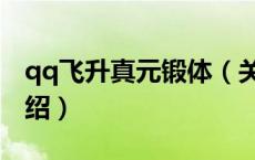 qq飞升真元锻体（关于qq飞升真元锻体的介绍）