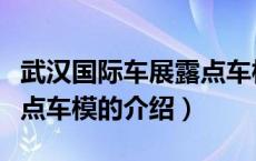 武汉国际车展露点车模（关于武汉国际车展露点车模的介绍）