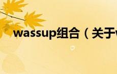 wassup组合（关于wassup组合的介绍）