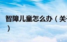 智障儿童怎么办（关于智障儿童怎么办的介绍）