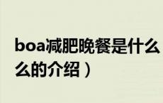 boa减肥晚餐是什么（关于boa减肥晚餐是什么的介绍）
