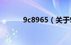 9c8965（关于9c8965的介绍）