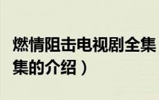 燃情阻击电视剧全集（关于燃情阻击电视剧全集的介绍）