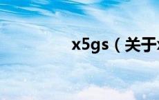 x5gs（关于x5gs的介绍）