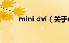mini dvi（关于mini dvi的介绍）