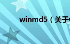 winmd5（关于winmd5的介绍）