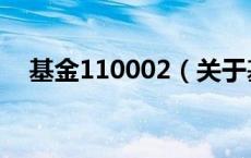 基金110002（关于基金110002的介绍）