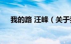 我的路 汪峰（关于我的路 汪峰的介绍）