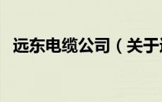 远东电缆公司（关于远东电缆公司的介绍）
