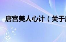 唐宫美人心计（关于唐宫美人心计的介绍）