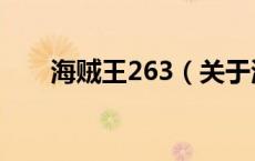 海贼王263（关于海贼王263的介绍）