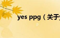 yes ppg（关于yes ppg的介绍）