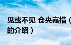 见或不见 仓央嘉措（关于见或不见 仓央嘉措的介绍）