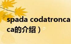 spada codatronca（关于spada codatronca的介绍）