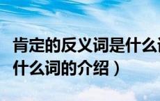肯定的反义词是什么词（关于肯定的反义词是什么词的介绍）