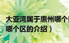 大亚湾属于惠州哪个区（关于大亚湾属于惠州哪个区的介绍）