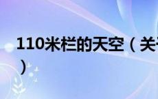 110米栏的天空（关于110米栏的天空的介绍）