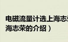 电磁流量计选上海志荣（关于电磁流量计选上海志荣的介绍）