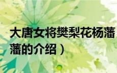 大唐女将樊梨花杨藩（关于大唐女将樊梨花杨藩的介绍）