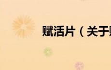 赋活片（关于赋活片的介绍）