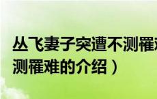 丛飞妻子突遭不测罹难（关于丛飞妻子突遭不测罹难的介绍）