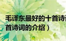 毛译东最好的十首诗词（关于毛译东最好的十首诗词的介绍）