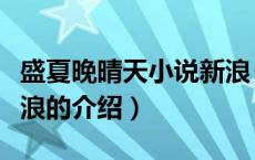 盛夏晚晴天小说新浪（关于盛夏晚晴天小说新浪的介绍）