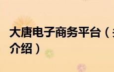 大唐电子商务平台（关于大唐电子商务平台的介绍）