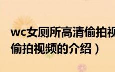 wc女厕所高清偷拍视频（关于wc女厕所高清偷拍视频的介绍）