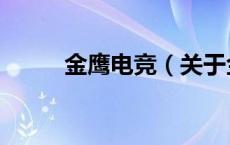 金鹰电竞（关于金鹰电竞的介绍）