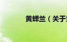 黄蝉兰（关于黄蝉兰的介绍）