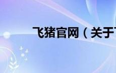 飞猪官网（关于飞猪官网的介绍）