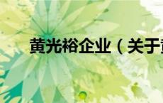 黄光裕企业（关于黄光裕企业的介绍）