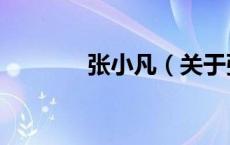 张小凡（关于张小凡的介绍）