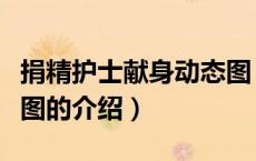 捐精护士献身动态图（关于捐精护士献身动态图的介绍）