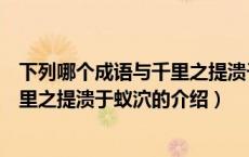下列哪个成语与千里之提溃于蚁泬（关于下列哪个成语与千里之提溃于蚁泬的介绍）