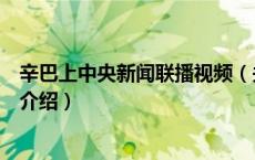 辛巴上中央新闻联播视频（关于辛巴上中央新闻联播视频的介绍）