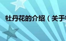 牡丹花的介绍（关于牡丹花的介绍的介绍）