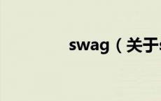 swag（关于swag的介绍）