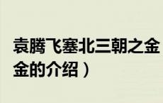袁腾飞塞北三朝之金（关于袁腾飞塞北三朝之金的介绍）