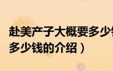 赴美产子大概要多少钱（关于赴美产子大概要多少钱的介绍）