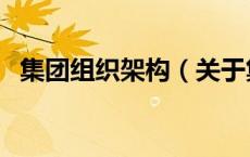 集团组织架构（关于集团组织架构的介绍）