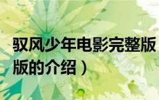 驭风少年电影完整版（关于驭风少年电影完整版的介绍）