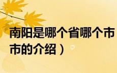 南阳是哪个省哪个市（关于南阳是哪个省哪个市的介绍）