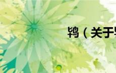 鸨（关于鸨的介绍）