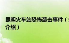 昆明火车站恐怖袭击事件（关于昆明火车站恐怖袭击事件的介绍）